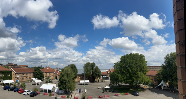 Hof_weit_Muriel__9_